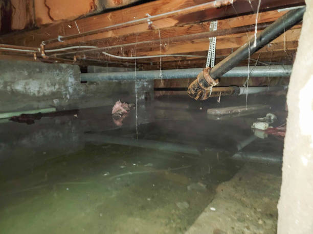 Best 24/7 water damage repair  in Bastrop, TX