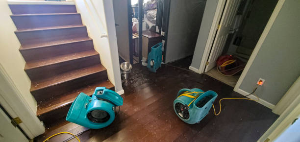 Best Professional water damage repair  in Bastrop, TX