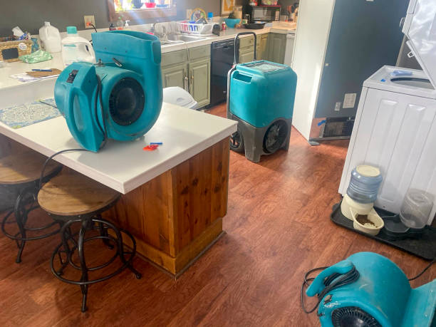 Best Sewage cleanup and water damage restoration  in Bastrop, TX