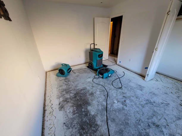 Best Commercial water damage restoration  in Bastrop, TX