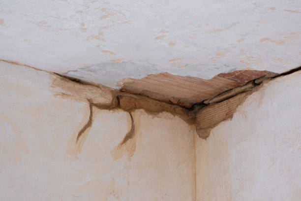 Best Flood restoration services  in Bastrop, TX